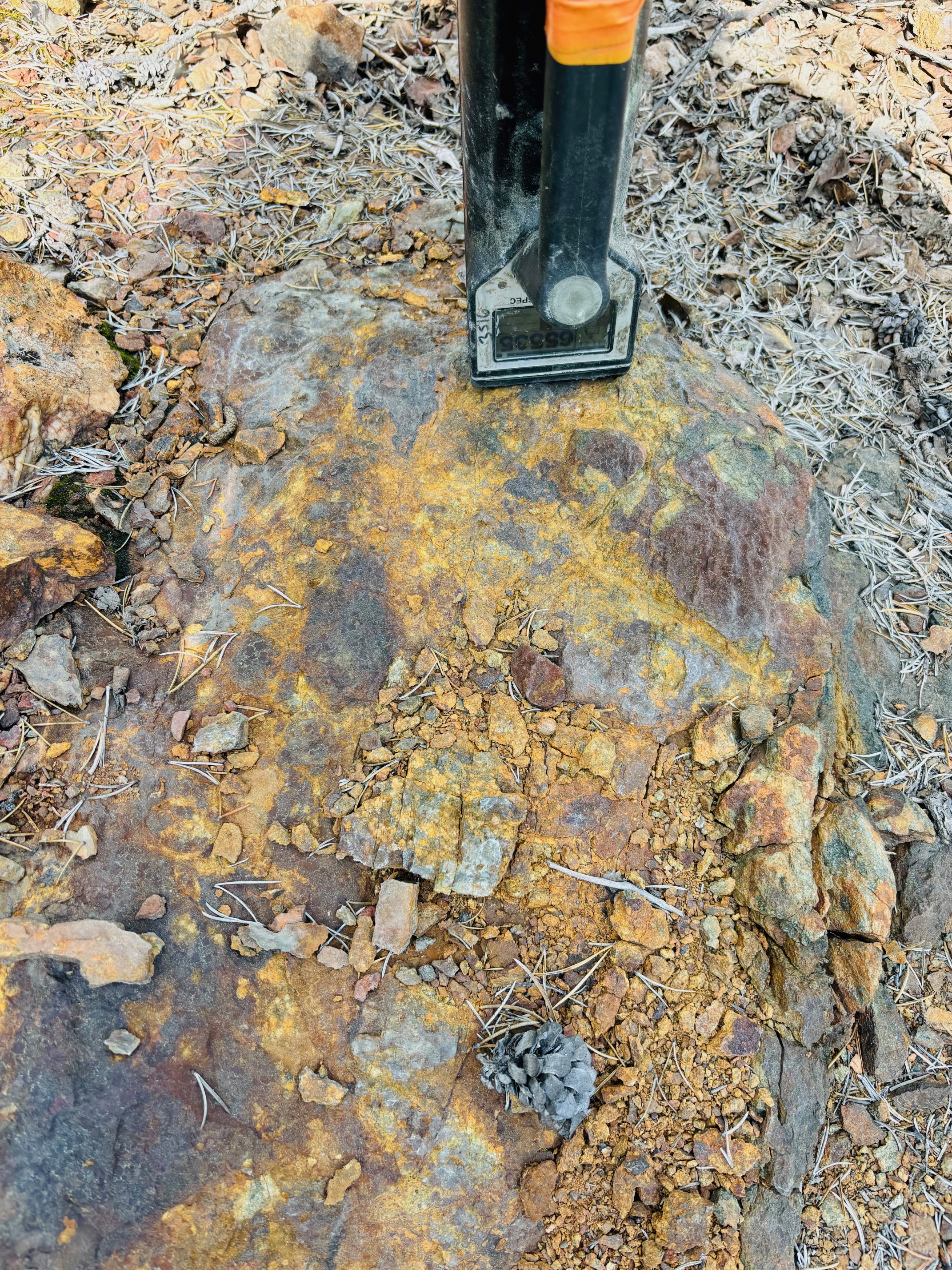 Beaver River site photo 8