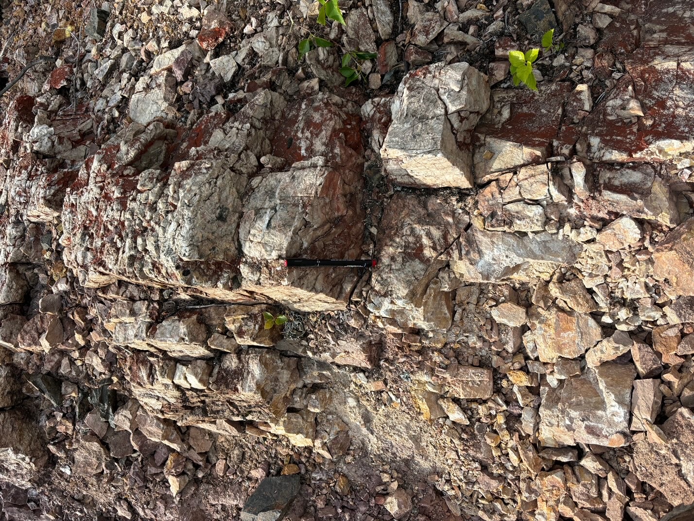 Black Bay site photo 1