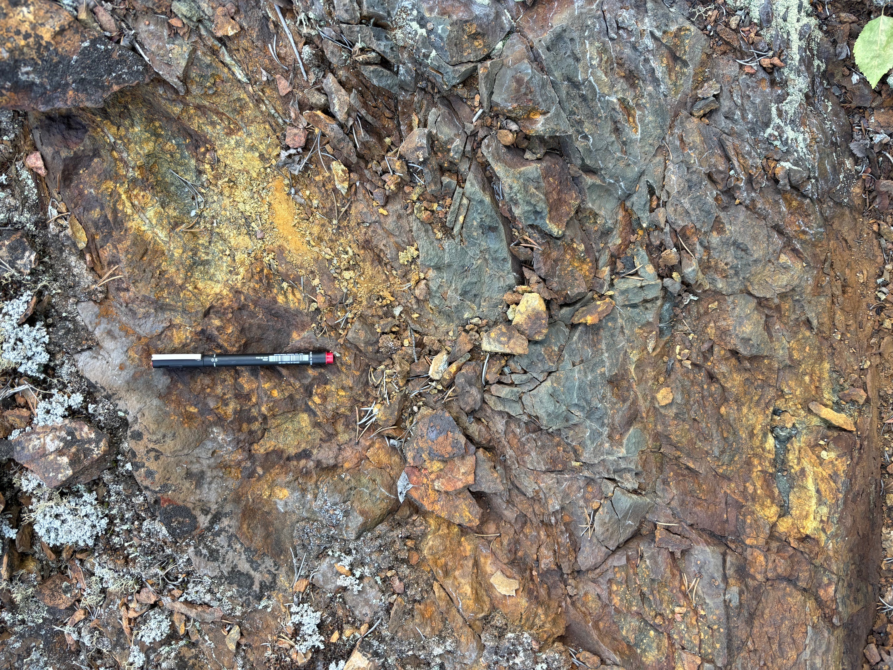 Don Lake site photo 2