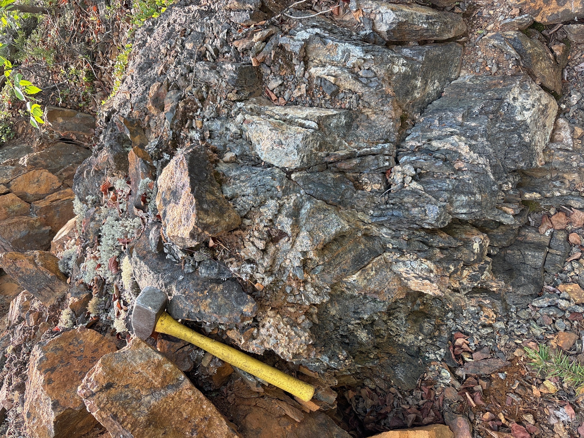 Don Lake site photo 4