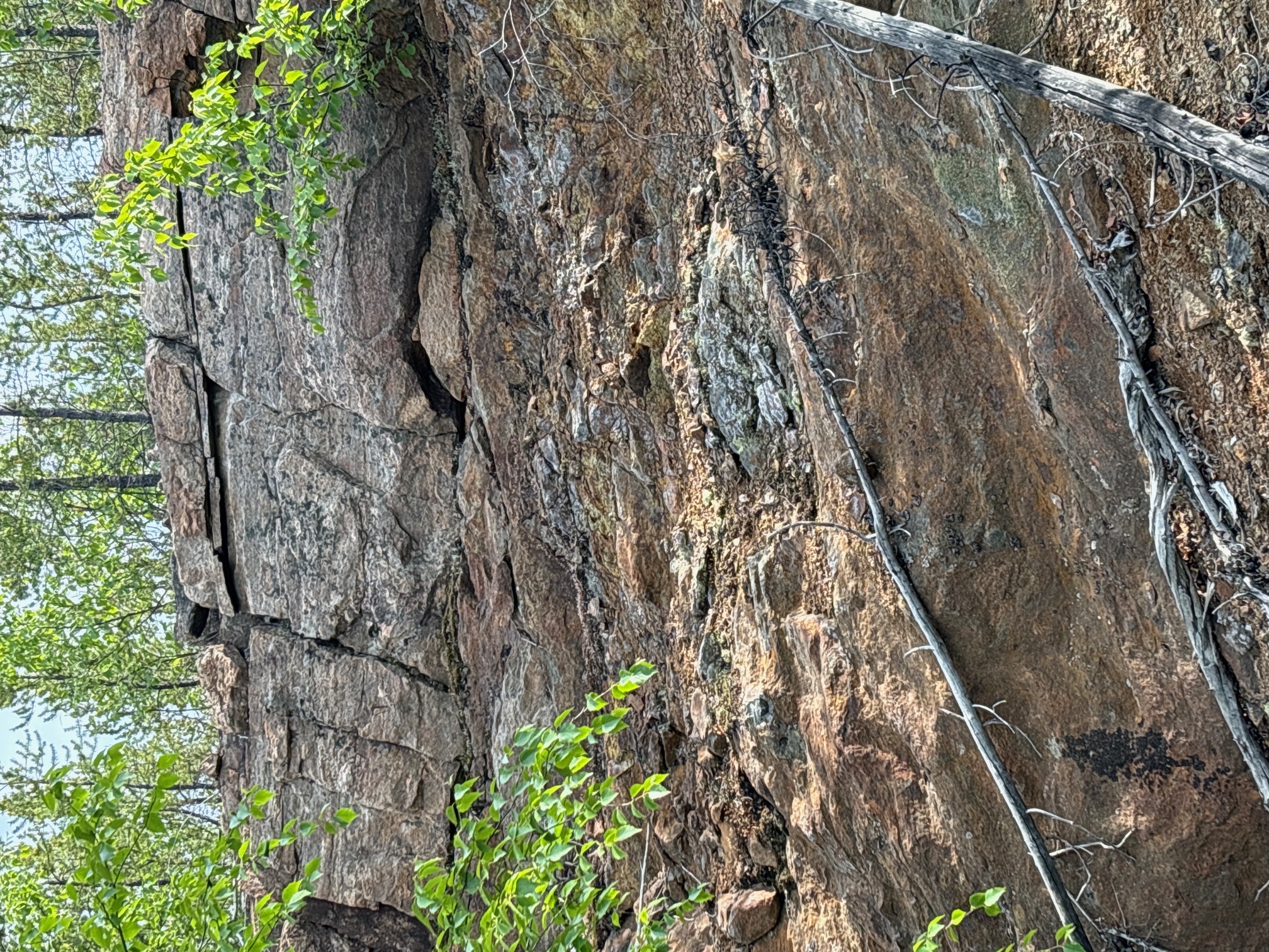 Don Lake site photo 10